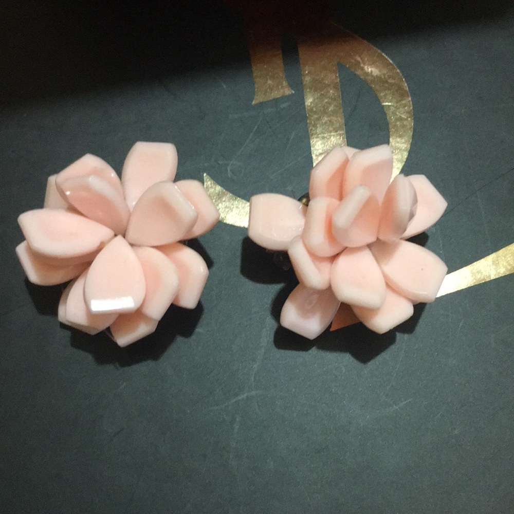 Beautiful earring